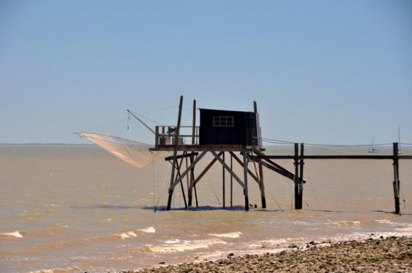 0098_ile_aix_carrelet