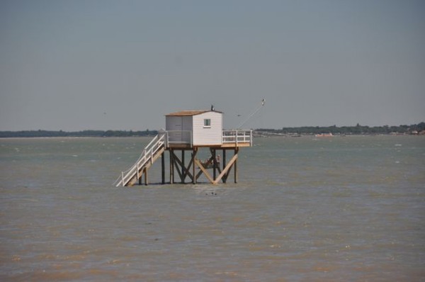 0116_ile_aix_carrelet