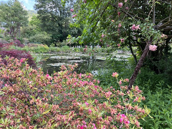 etang_nympheas_monet_giverny_nruaux_5512