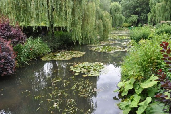 nympheas_monet_giverny_nruaux
