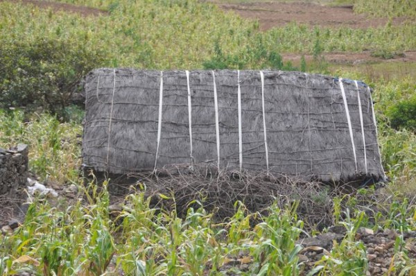 maison_traditionnelle_1