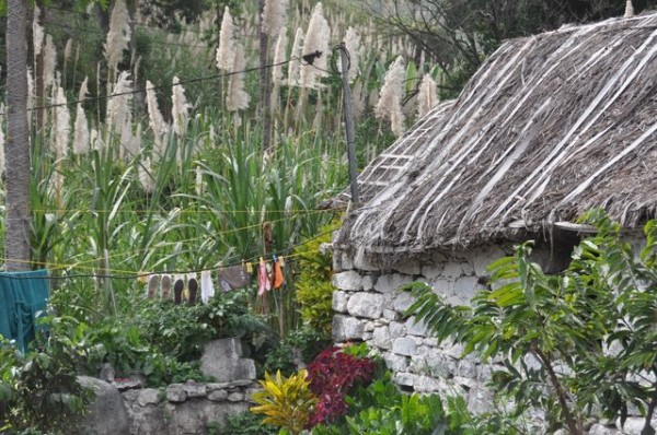 maison_traditionnelle_3