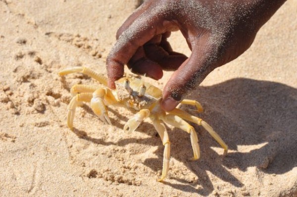 caranguero_9