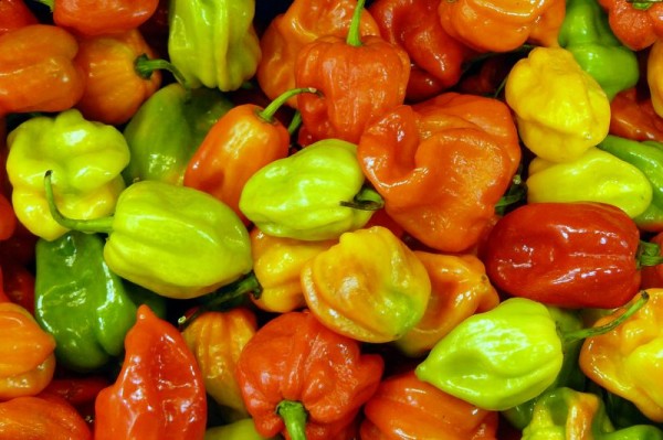 la_boqueria__piments_1