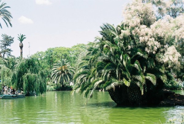 parc_de_la_ciutadella__lac