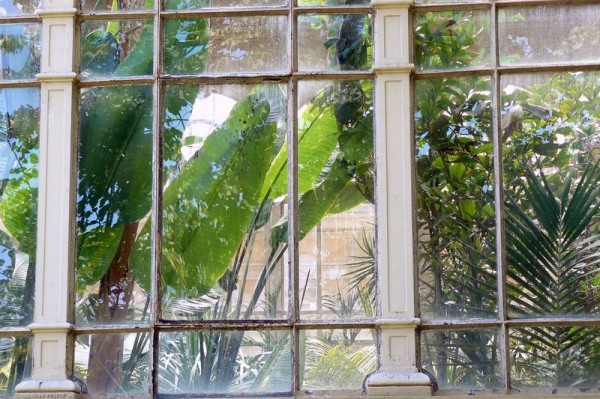 parc_de_la_ciutadella__serre_2