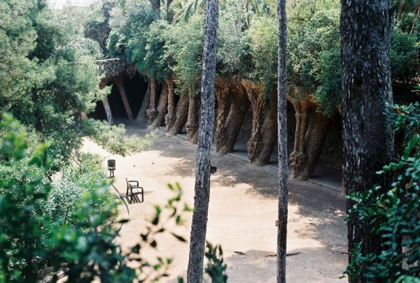 parc_guell__arbres_ou_piliers